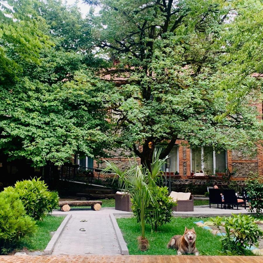 Wald Hotel Lagodekhi Luaran gambar